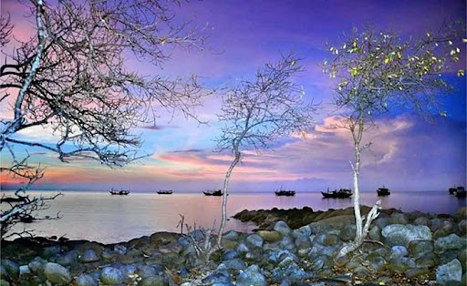 Hệ sinh thái đa dạng trên Hòn Khoai - Cụm đảo Việt Nam gần xích đạo nhất - Ảnh 7
