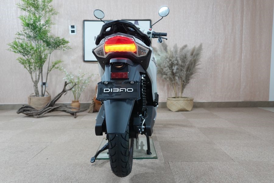 dibao-shine-8-1780759591.jpg