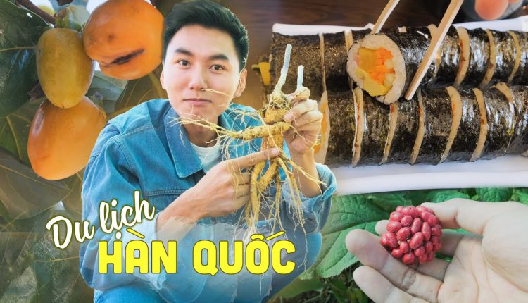 Video Thumbnail: Du lịch ẩm thực Hàn Quốc #:1 Về quê đào và ăn nhân sâm