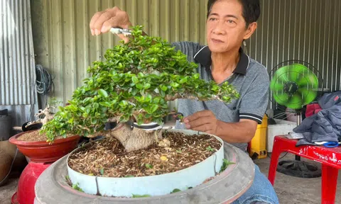 Trần Quốc Phong: Nghệ Sĩ Đa Tài Vùng Biên, Cống Hiến Thầm Lặng Cho Nghệ Thuật tỉnh nhà