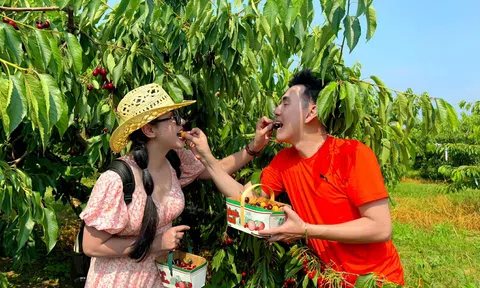 Việt Trinh tái xuất "rủ rê" Đoan Trường cùng khám phá Canada