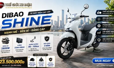 Dibao Shine – Thiết Kế Chuẩn Phong Cách SH Hiện Đại