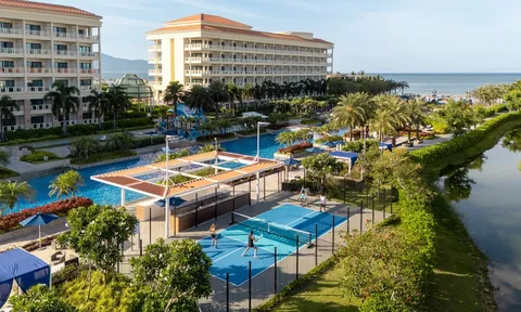Từ Pickleball đến Thuyền Thúng Xoay:  Sheraton Grand Danang Kiến Tạo Kỳ Nghỉ Năng Động Cho Mọi Thế Hệ