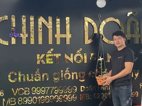 Doãn Chinh và giấc mơ khởi nghiệp từ đam mê trồng lan