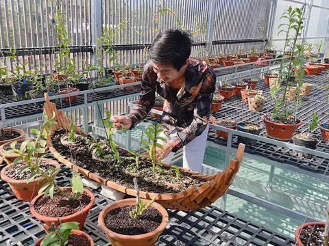 Cường Khuê Các và thành tích “khủng” của chủ vườn lan trẻ tuổi xứ đại ngàn