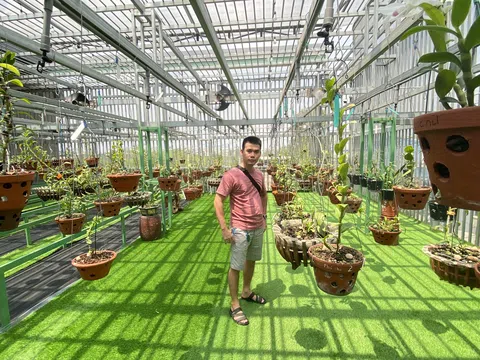 CEO Đỗ Thạch chia sẻ kinh nghiệm trồng lan đột biến