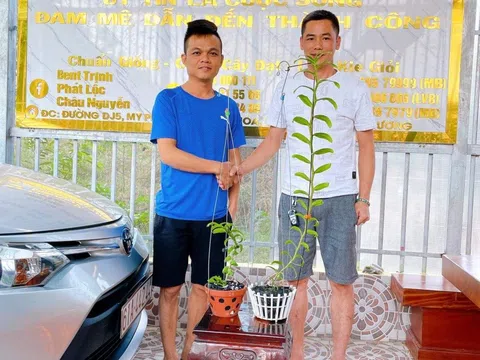 Chia sẻ kinh nghiệm kinh doanh lan đột biến thu tiền tỷ mỗi tháng của ông chủ vườn lan tại Bình Dương