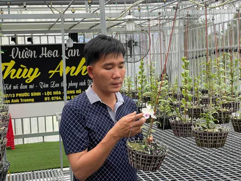 Trương Tuấn Anh chia sẻ bí kíp để thành công trong nuôi trồng hoa lan