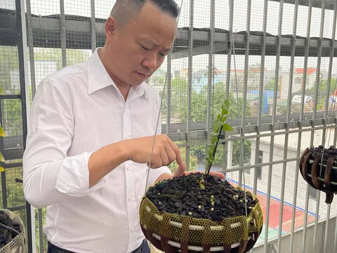 Ông chủ vườn lan Mạnh Quỳnh: Chinh phục hoa lan từ thất bại ban đầu