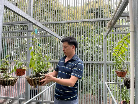 Ông chủ Ninh Nguyễn và vườn hoa lan nổi tiếng ở đất tổ Phú Thọ