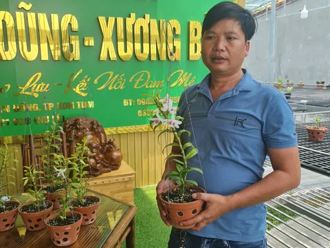Hành trình vượt khó để thành công của ông chủ vườn lan Hữu Xướng