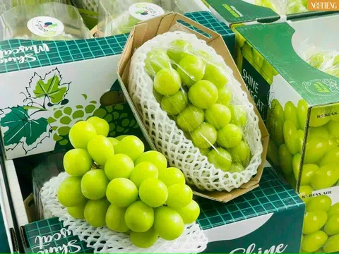 Công Ty Thảo Nguyên Fruit - Nơi chuyên kinh doanh, buôn bán các loại hoa quả, thực phẩm nhập khẩu có chất lượng cao được nhiều người biết đến