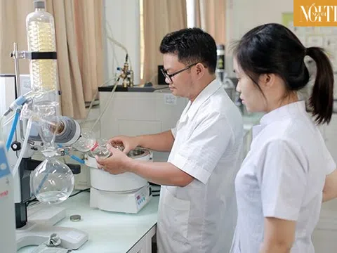 Hai người Việt lọt top 10.000 nhà khoa học có trích dẫn ảnh hưởng nhất thế giới năm 2022