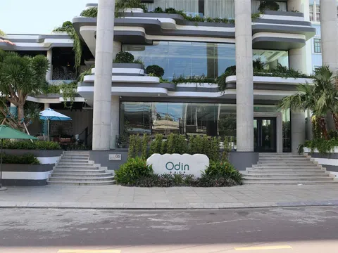 Odin Hotel Quy Nhơn – Khách Sạn 4 Sao Sang Trọng Giữa Trung Tâm Thành Phố Biển