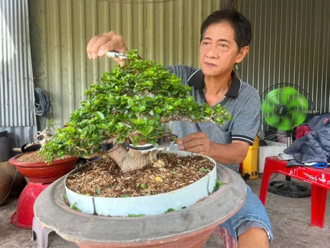 Trần Quốc Phong: Nghệ Sĩ Đa Tài Vùng Biên, Cống Hiến Thầm Lặng Cho Nghệ Thuật tỉnh nhà