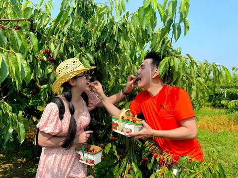 Việt Trinh tái xuất "rủ rê" Đoan Trường cùng khám phá Canada