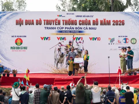 Lan tỏa bản sắc miền Tây qua Hội đua bò Bảy Núi và câu chuyện hạt gạo Việt